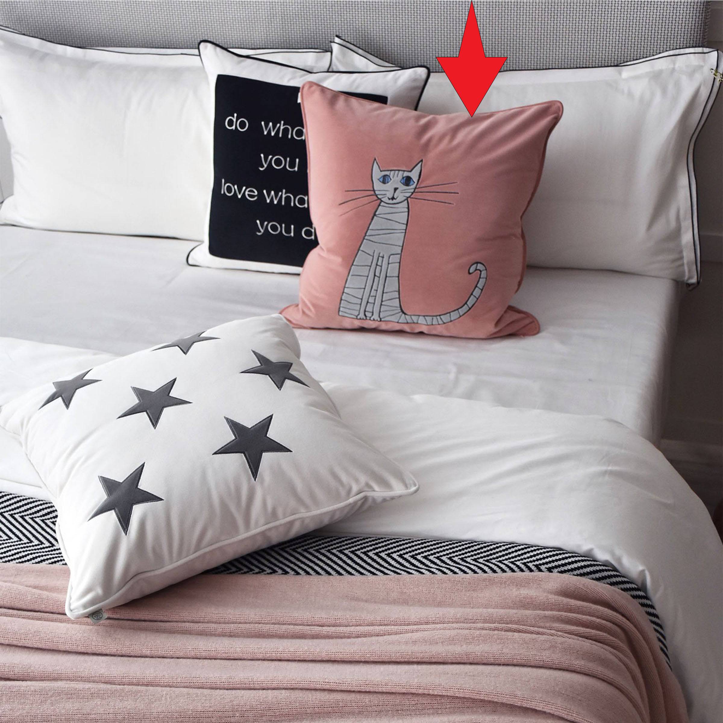 Pink bedroom hot sale cushions