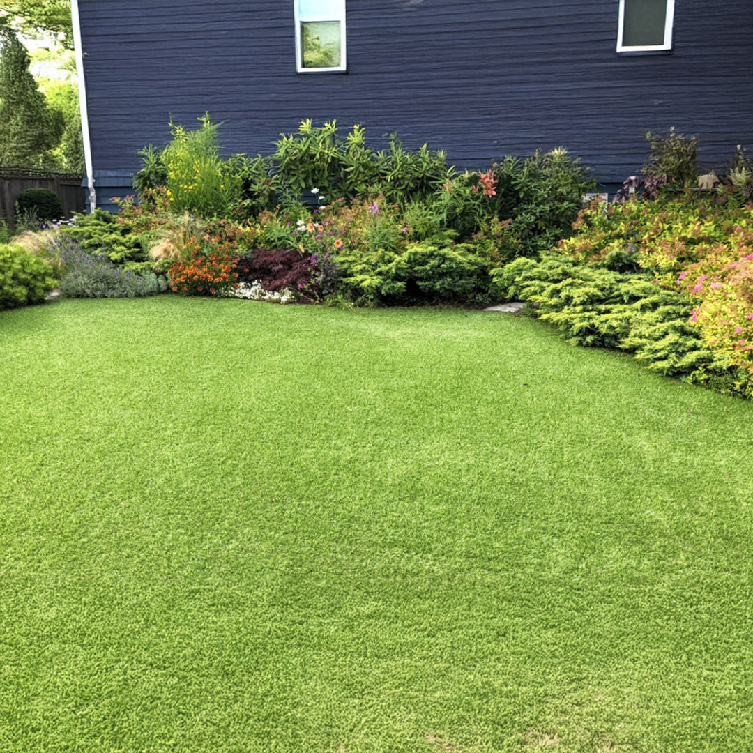 Artificial Turf For Landscaping - 500DXC4-6F-NC