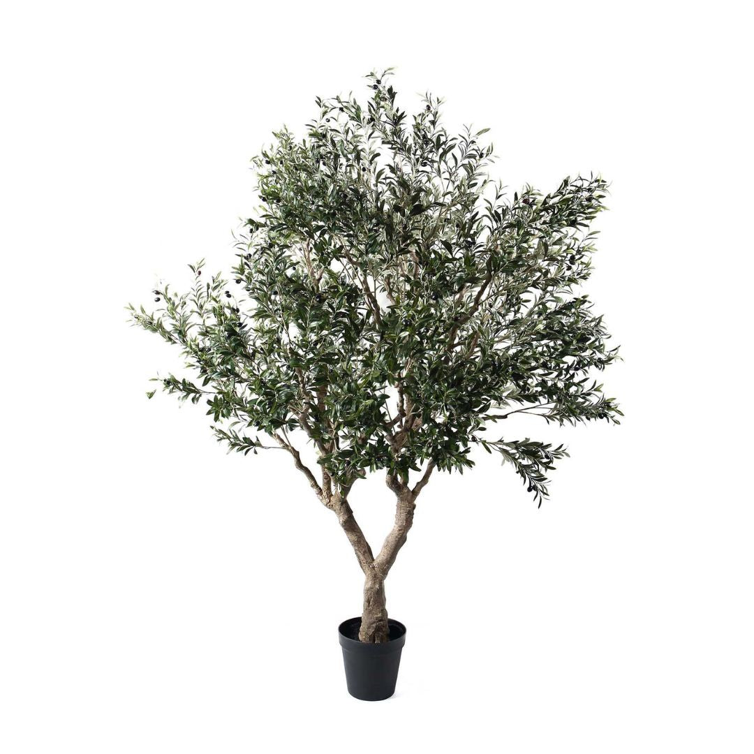 Pre Order 15 Days Delivery Simulated Olive Tree CT01-Olive -  Plants | شجرة عيد الميلاد مع ضوء LED - ebarza Furniture UAE | Shop Modern Furniture in Abu Dhabi & Dubai - مفروشات ايبازرا في الامارات | تسوق اثاث عصري وديكورات مميزة في دبي وابوظبي