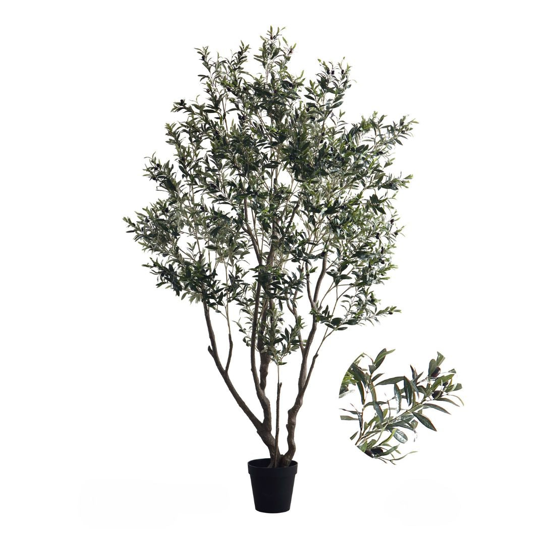 Pre Order 15 Days Delivery Simulated Olive Tree CT02-Olive -  Plants | شجرة عيد الميلاد مع ضوء LED - ebarza Furniture UAE | Shop Modern Furniture in Abu Dhabi & Dubai - مفروشات ايبازرا في الامارات | تسوق اثاث عصري وديكورات مميزة في دبي وابوظبي