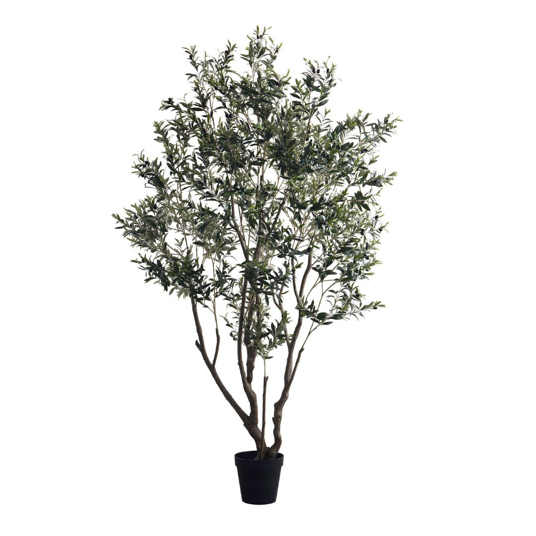 Pre Order 15 Days Delivery Simulated Olive Tree CT02-Olive -  Plants | شجرة عيد الميلاد مع ضوء LED - ebarza Furniture UAE | Shop Modern Furniture in Abu Dhabi & Dubai - مفروشات ايبازرا في الامارات | تسوق اثاث عصري وديكورات مميزة في دبي وابوظبي