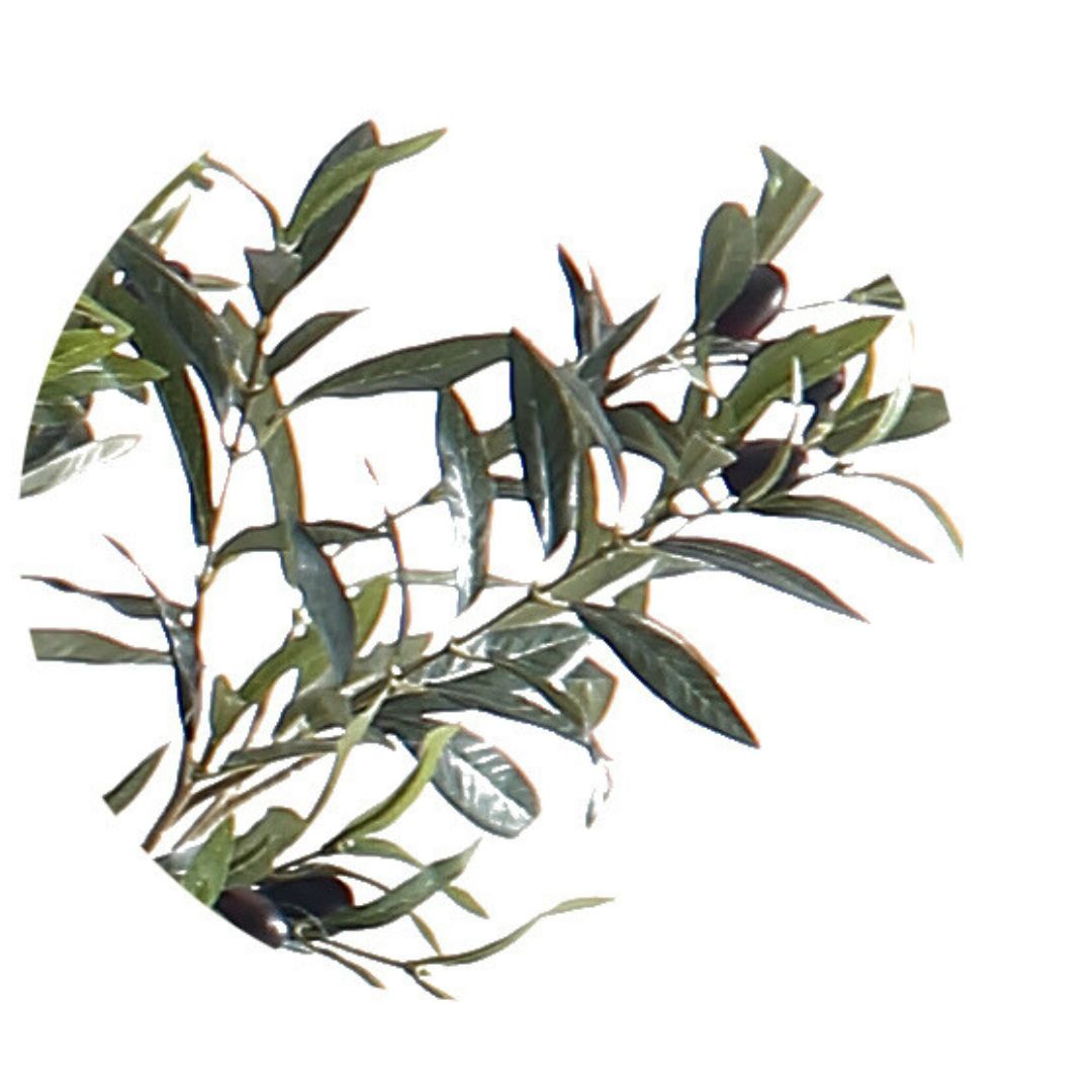 Pre Order 15 Days Delivery Simulated Olive Tree CT02-Olive -  Plants | شجرة عيد الميلاد مع ضوء LED - ebarza Furniture UAE | Shop Modern Furniture in Abu Dhabi & Dubai - مفروشات ايبازرا في الامارات | تسوق اثاث عصري وديكورات مميزة في دبي وابوظبي