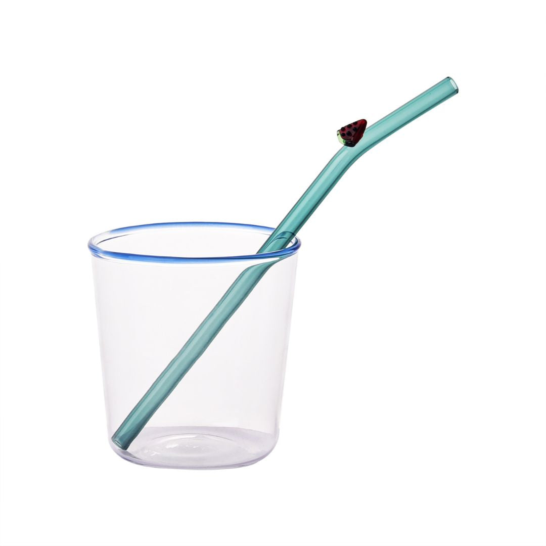 Watermelon Straw - 24A001watermelon