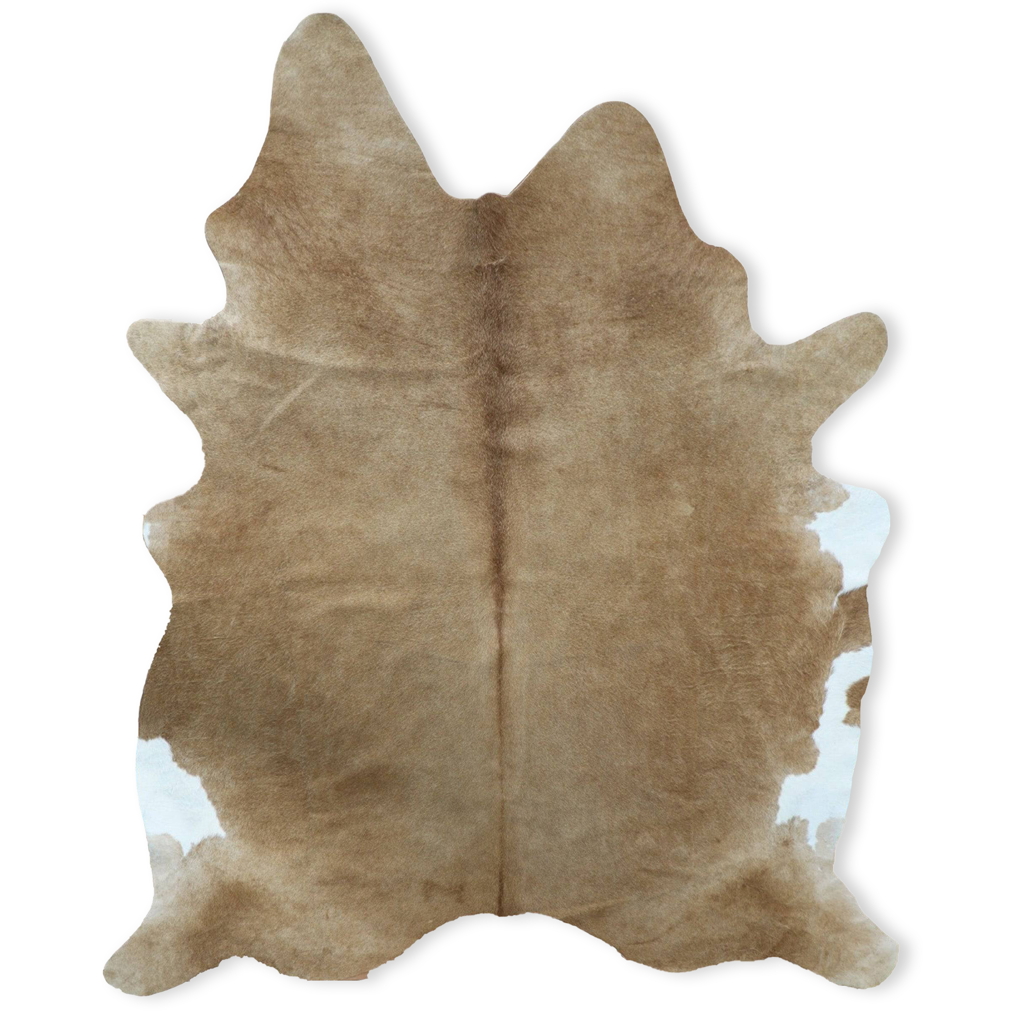 230X160 Cm Cowhide Rug  Cow-Hide-Brown -  Rugs | 230X160 سم سجادة من جلد البقر الطبيعي - ebarza Furniture UAE | Shop Modern Furniture in Abu Dhabi & Dubai - مفروشات ايبازرا في الامارات | تسوق اثاث عصري وديكورات مميزة في دبي وابوظبي